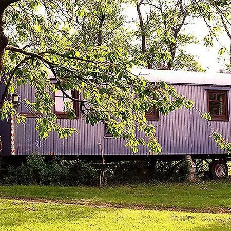 Cozy Bauwagen Apartment *